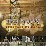 Coverart of Yarudora Portable: Yukiwari no Hana