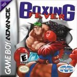 Coverart of Boxing Fever