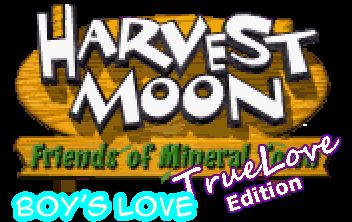 The coverart image of Harvest Moon TLE Boy's Love (Hack)