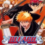 Coverart of Bleach: Erabareshi Tamashii