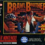 Coverart of Brawl Brothers
