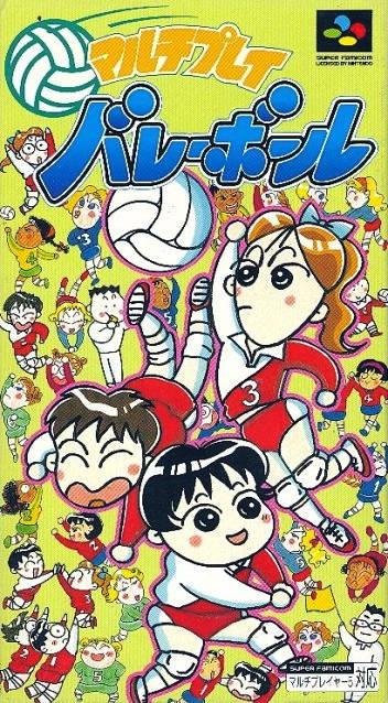 The coverart image of Multi Play Volleyball 