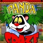 Coverart of Panda Craze