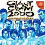 Coverart of Giant Gram 2000: Zen Nihon Pro Wres 3 Eikou no Yuusha-tachi