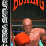 Coverart of Victory Boxing